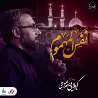 آه یا زینب (س)