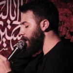 واسه‌ی هیشکی مثل زینب