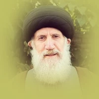 داستان زیبای شفا یافتن یک مرد مسیحی در صحن حضرت موسی بن جعفر (ع) و دیدار با فاطمه معصومه (س)