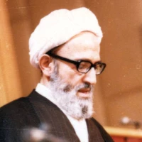 nava
