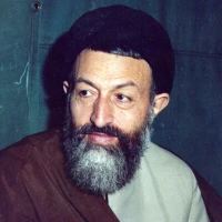 nava
