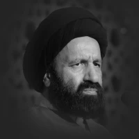 حجت الاسلام سید احمد دارستانی