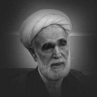 حجت الاسلام و المسلمين  رضا محمدي