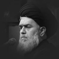 حجت الاسلام سید حسین مومنی