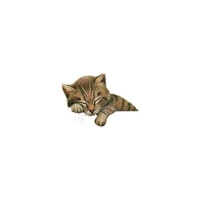 اصغری