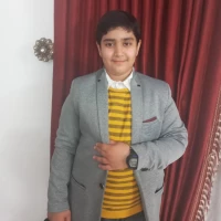 محمد حسین رستمی