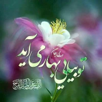 رضاعابدی