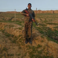 عماد ملیحی