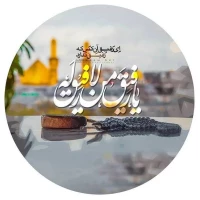سید محمد جواد میرنظامی