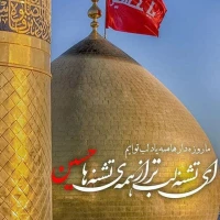 محمد شاکری