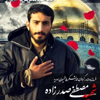 سعید پیری زاده
