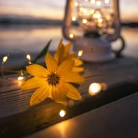 الهه علیپور