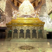 علی دانش