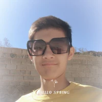 سید مصطفی مصطفوی