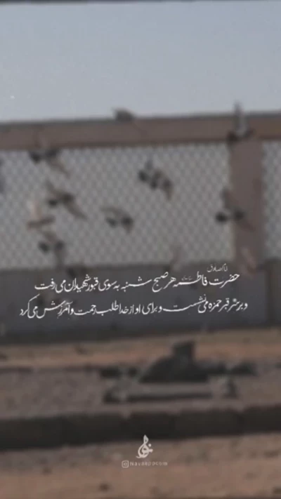 حدیث.........