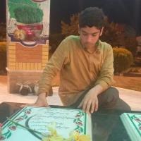 مجتبی رضاپور