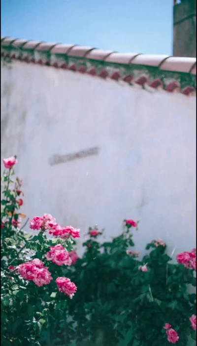 حدیث امام رضا ...