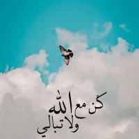 محمد شاوردی