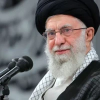 علی داداشی
