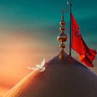 امیر مهدی