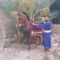 آواتار مصطفی رزاق