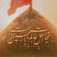امیرمحمدمیر