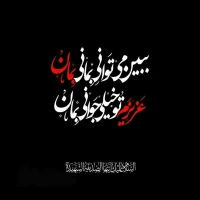 محمدرضا