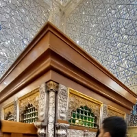 آواتار محسن عباسی