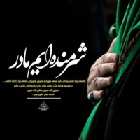 حوریه حسینی نامی