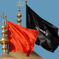 مصطفی یحیی پور