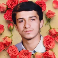 دانامقامی