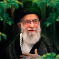 علیرضا سلیمی