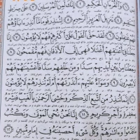 هدی صفری
