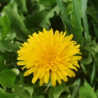 محمد اکبرزاده