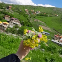 محمد مهدی نوریان