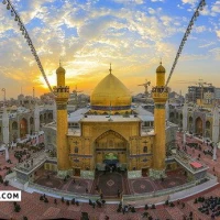 سکینه رضایی