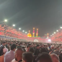 محمدعلی محمدی