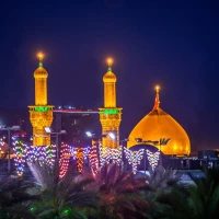 محمد لغوی