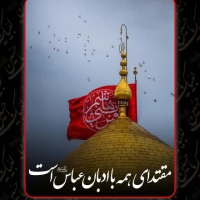 محمدمهدی قیاسوند