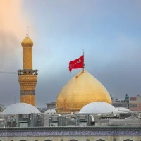 سید محمد فاطمی