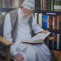 مجتبی مجیدی