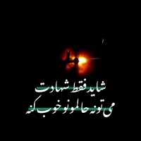 محمد مهدی رضاپور