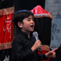 سید امیرحسین عالیزاده