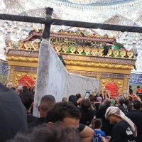طاها احمدی