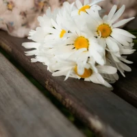 ابوالفضلی