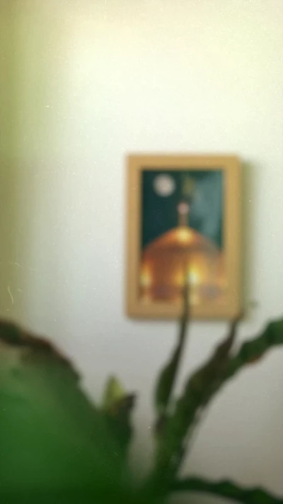 از من بگیر