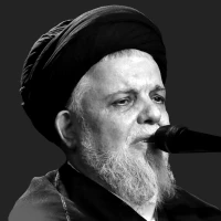 حجت الاسلام سید حسین هاشمی نژاد