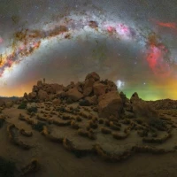 آواتار محمد طه باوی