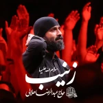 زینب سلام‌ الله‌ علیها