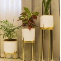 معصومه مرکزیان